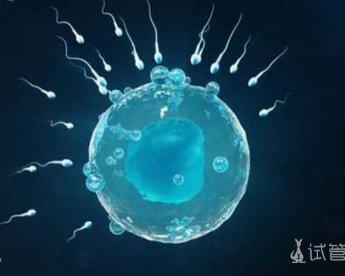 国内供卵代怀服务,河南人类精子库预约,濮阳有精子库吗