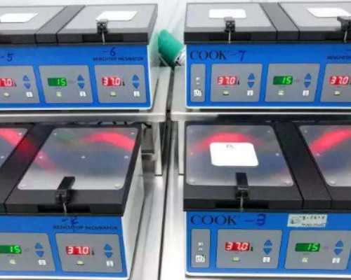 国内供卵收费价目表,试管冷知识:鲜胚移植第8天出血未必代表试管失败