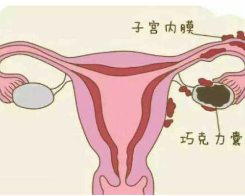 国内最好供卵中心医院排名,做试管婴儿要抽几次血，都是为了检查什么