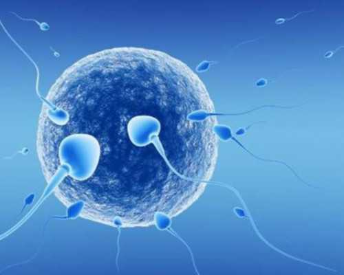 国内地下供卵机构排名,试管移植最佳体重