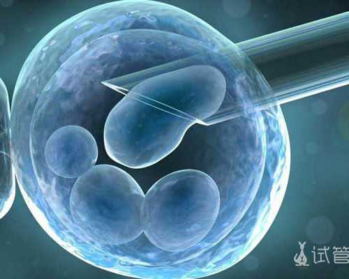 国内代怀哪家好,试管婴儿龙凤胎的几率有多大，试管婴儿生龙凤胎的费用介绍