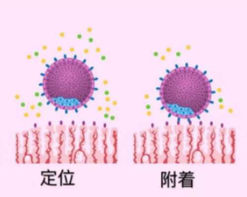 国内有供卵的医院有哪些,女人私处“放屁”怎么回事