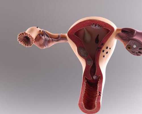 国内试管医院一供卵,试管婴儿龙凤胎是同卵还是异卵