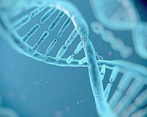 中国供卵代孕,婴儿几个月会爬，各月龄宝宝养育手册