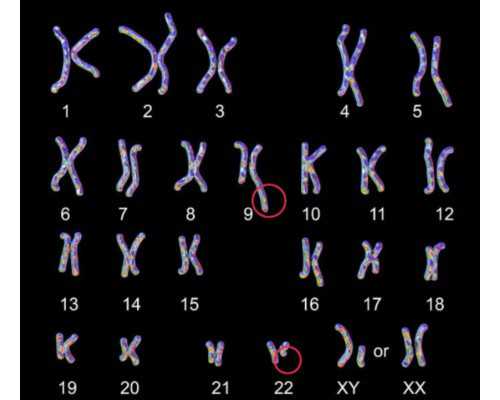 国内哪里供卵快些,年报负债总额是指什么（负债总额是指什么）