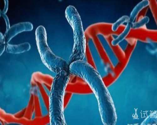 全国供卵最强的医院排名,做试管婴儿可以用别人的受精卵吗?