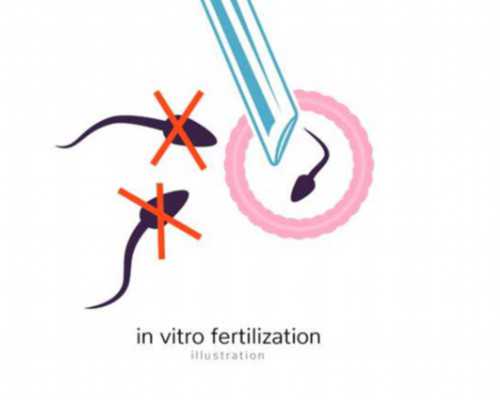 国内私人供卵试管机构,河北做试管有补贴吗，河北试管婴儿最新减免政策解读