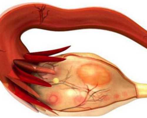 国内靠谱代生电话,湖南省供卵试管婴儿医院排名及试管助孕机构名单