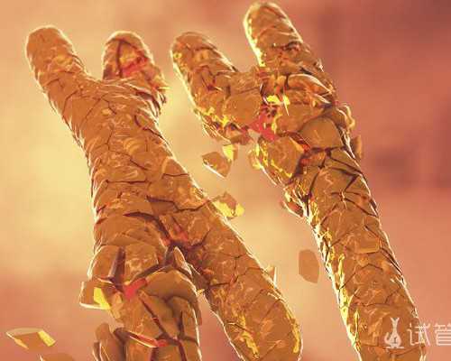 国内私立供卵医院排名前十,伊春能做“供卵”试管婴儿吗？你们想知道的答案在这里