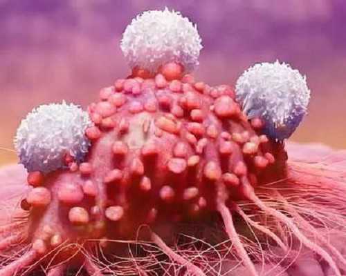 国内代孕产子价格是多少,国家二胎补助标准2026,*育二胎补贴3万元是真的吗