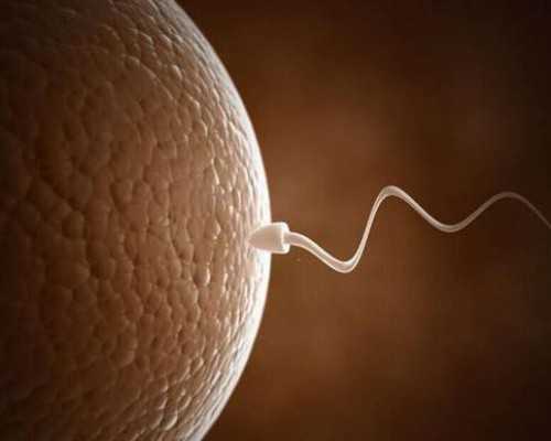 国内哪家医院做供卵不用等待,卵巢早衰或功能低下女性为何青睐辅酶Q10？						