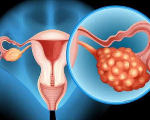 国内哪些医院供卵比较好,女性绝经后还能做试管吗，附参考费用明细！