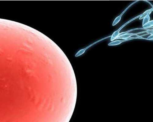 国内代生男孩价格,2026去国外的私人机构花15万做供卵试管安全靠谱吗？看这篇就够了