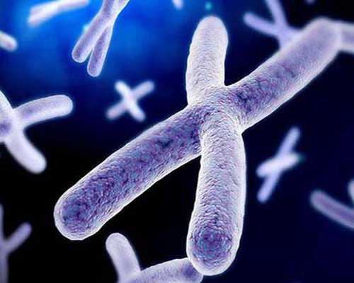 国内代怀男孩中介,四十岁以上的女性做试管婴儿*率高吗？