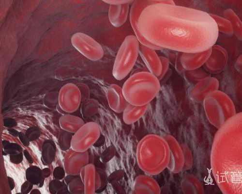 国内代孕地址,上海做试管后出现这个问题怎么办