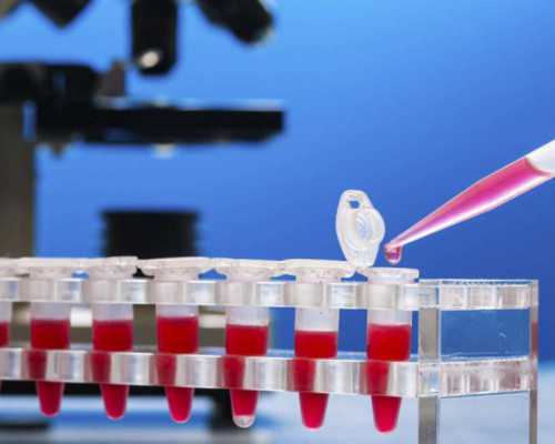 国内单身男找代生,2026河北能做供卵试管的医院有哪些，这10家医院都能做